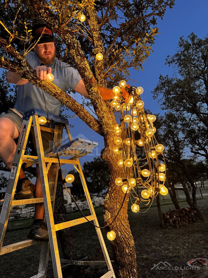 Installer wrapping a tree with globe lights at dusk