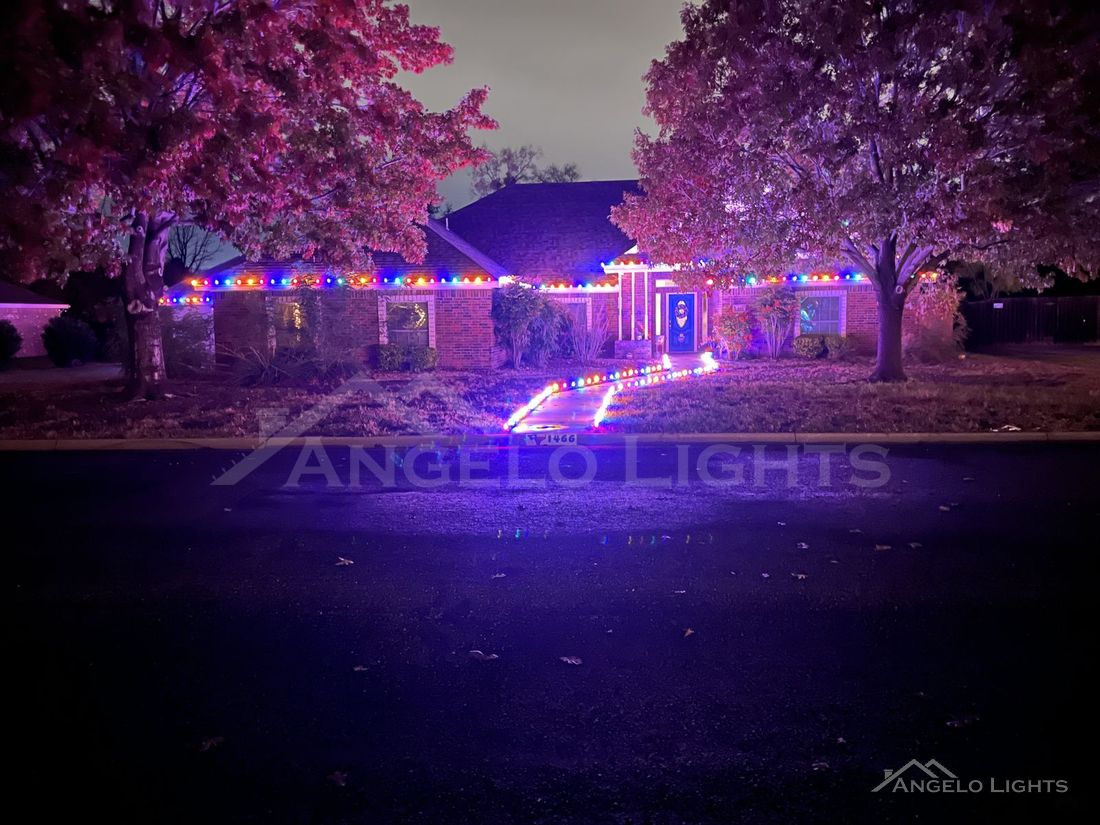 Example of a custom decorative lighting display