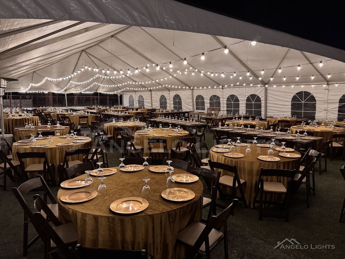 Tent reception with gold tables under string lights