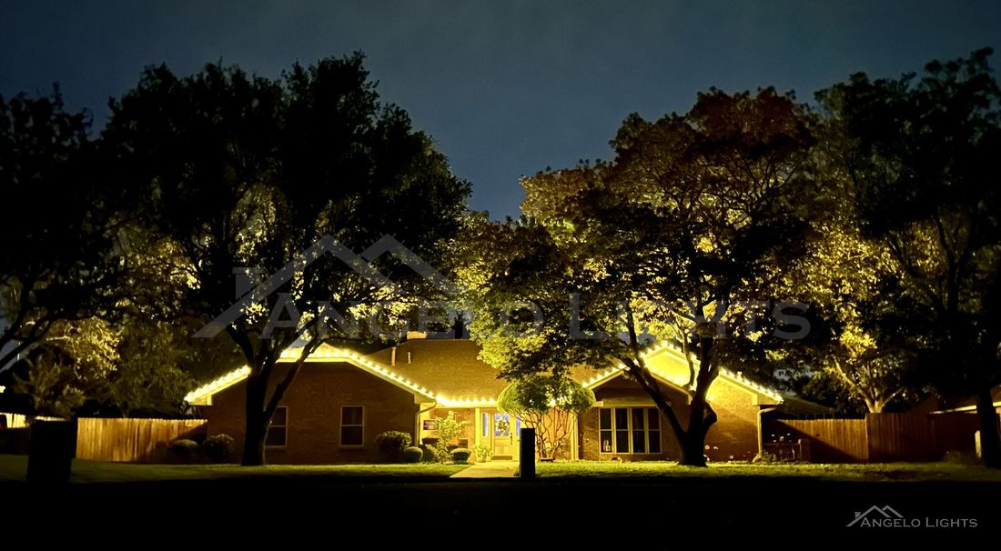 Home and trees lit with warm white lights